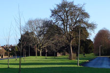 Hawke Park
