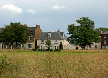 orchard_meadow1.jpg