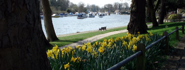 King's Lawn