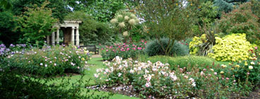 The Walled Garden - June 2009