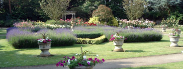 The Walled Garden