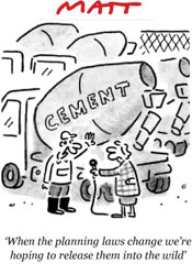 Matt Cartoon