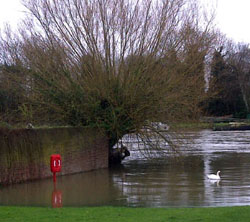 Flood Warning for Lower Sunbury