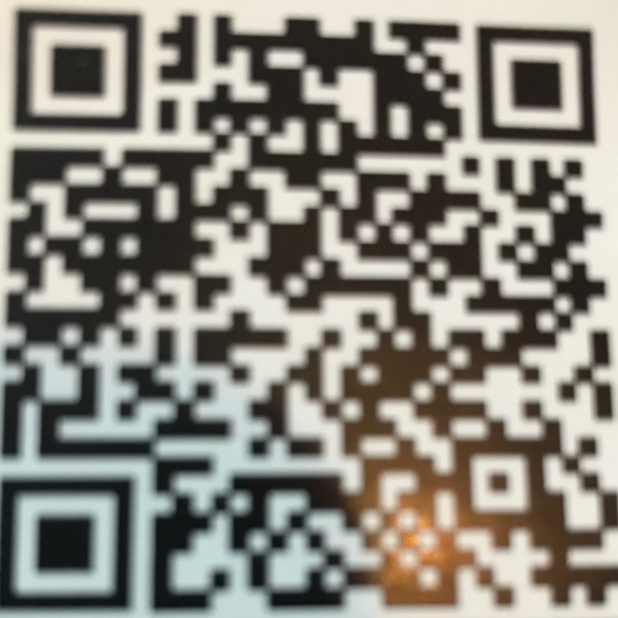 Kempton_Park_petition_QR_code.jpg - 232.00 kB