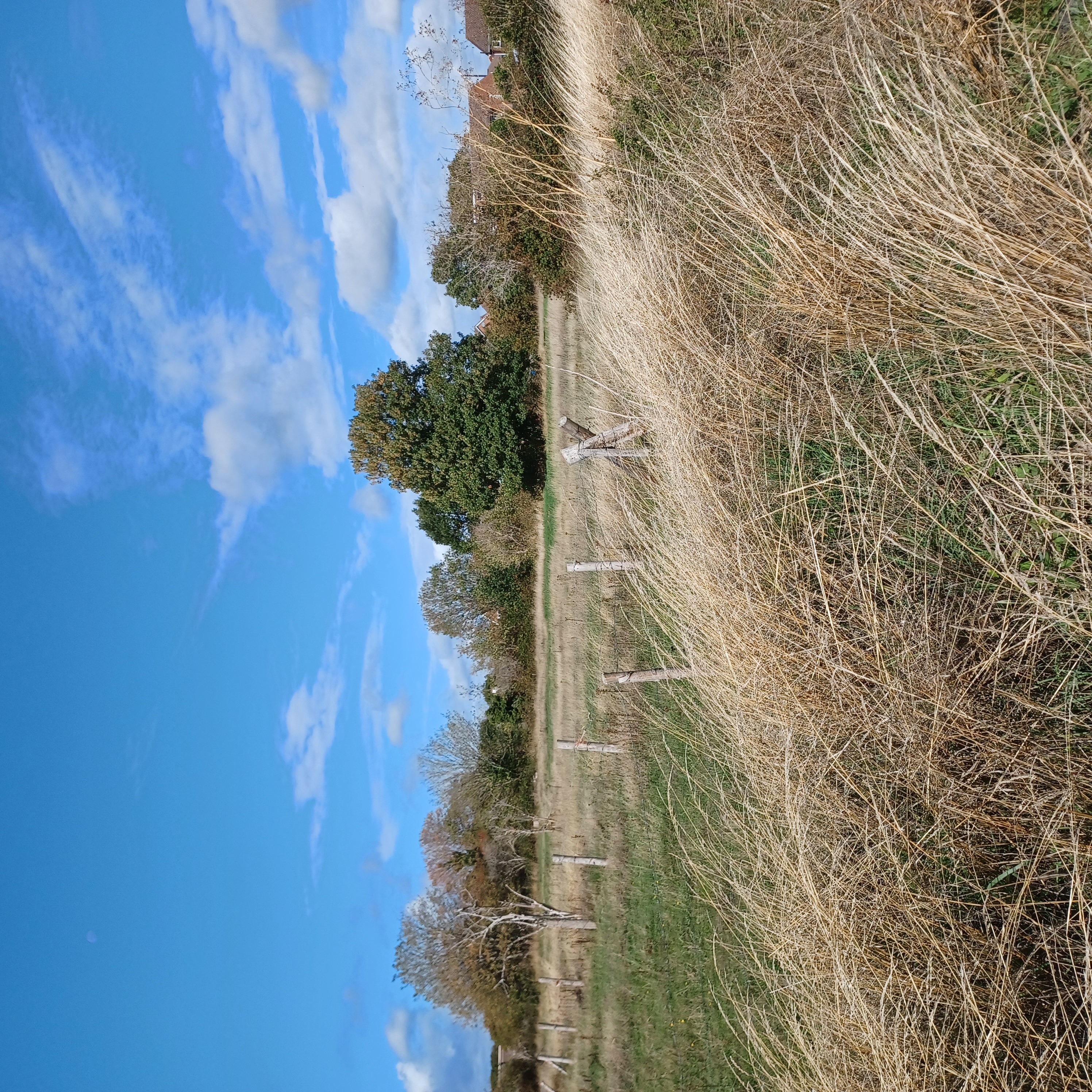 Stratton_Road_Green_Belt.jpg - 3.71 MB