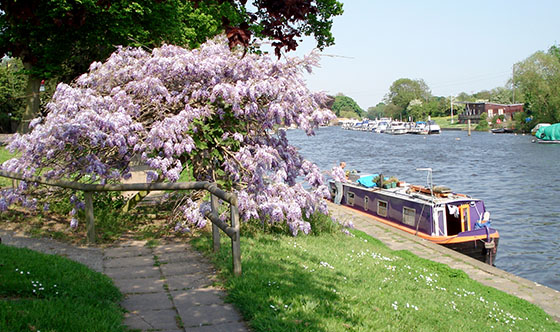 Council set to tackle unauthorised boat mooring 