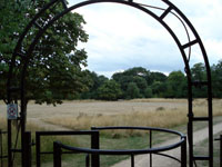 Orchard Meadow
