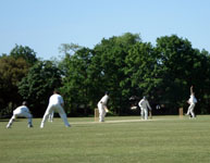 Sunbury Cricket Club