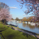 Lower Sunbury