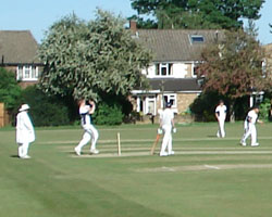 Charity cricket match